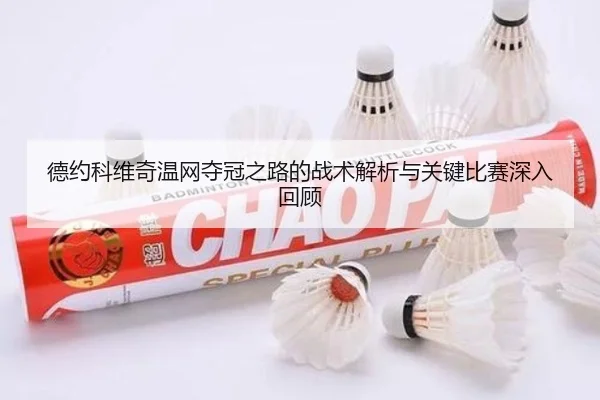 德约科维奇温网夺冠之路的战术解析与关键比赛深入回顾 | NANGONG SPORTS